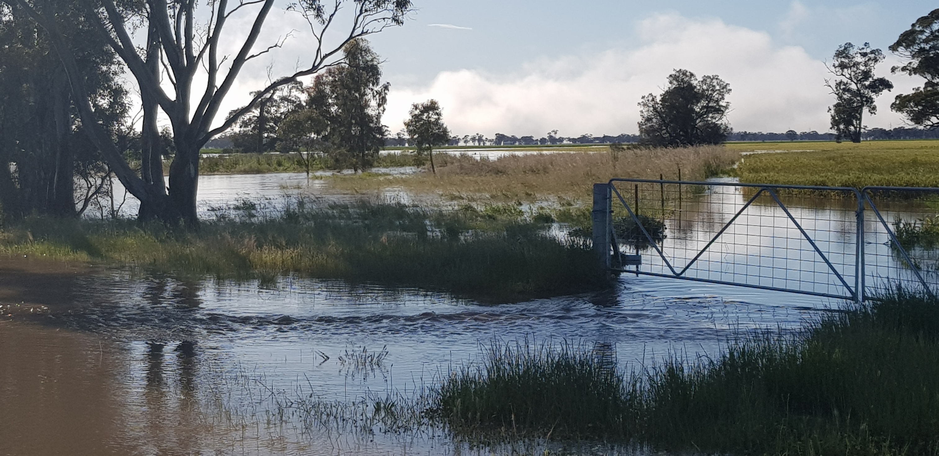 Grants For Flood Affected Farmers - Horsham Rural City Council