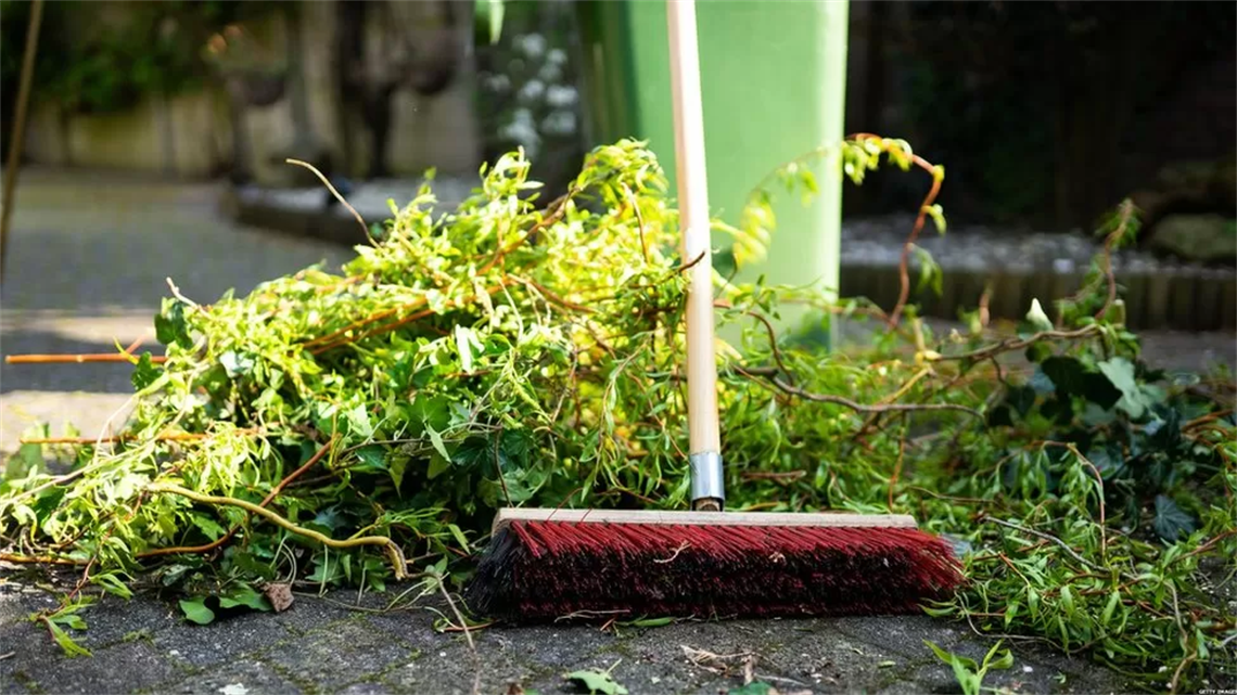 Dispose of your green waste for free Horsham Rural City Council